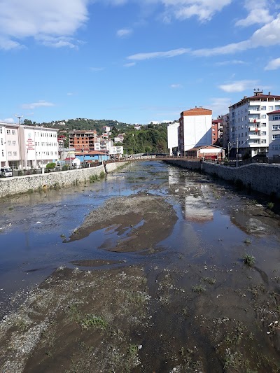 Giresun Eynesil Kamil Nalbant MYO