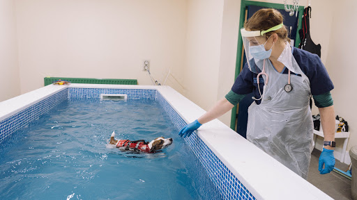 Grove Vets, Ballymena Gallery - United Kingdom