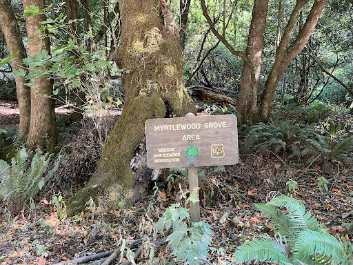 Myrtle Tree trail - Visual
