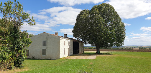 Le Moulin de Rimbault - Thumbnail