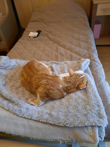 Photo de RESIDENCE DU LYS à Huismes (37420)