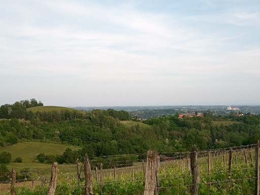 Big Bench #134 Moncucco Torinese - Thumbnail