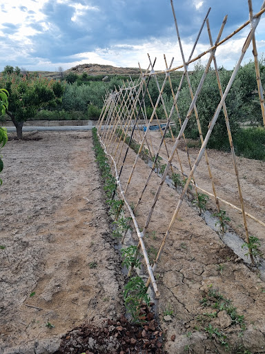 Casa Rural Muro de Aguas - Thumbnail