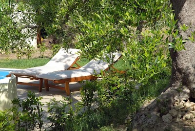 Photos of Villa Paola