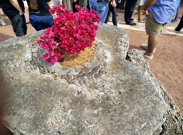 Coral Castle