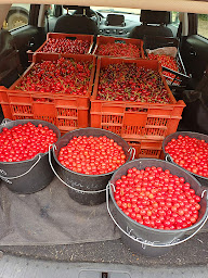 Photo n°34 de Les confitures et les miels de Fattie à Saint-Amand-Montrond (Épicerie fine)