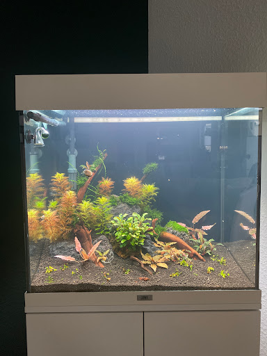 Shrimpfarm-Frankfurt