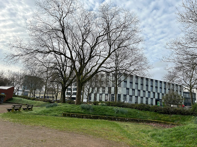 PSI Software SE – Business Unit Grid & Energy Management