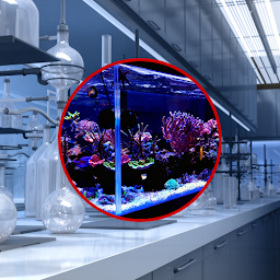 Photo n°5 de Mastic joint silicone couleur | Masticolor.fr à Montigny-lès-Cormeilles (Carreleur)