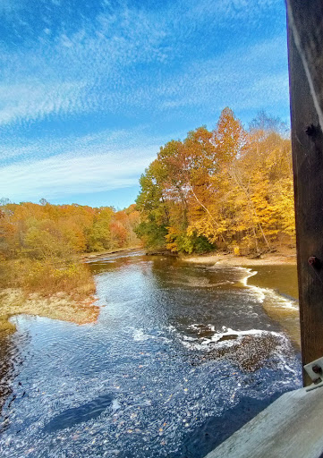 Olin's Bridge - Visual