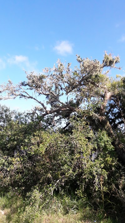 Photos of &Aacute;rea Protegida Laguna Negra