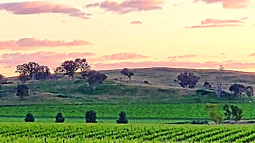 De Beaurepaire Wines - Thumbnail