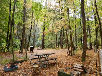 Cataloochee Campground