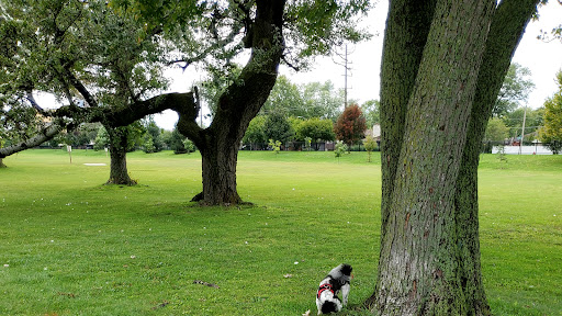 50 Acre Park Dog Park