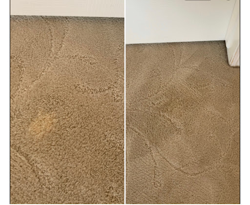 Carpet Magic - Visual