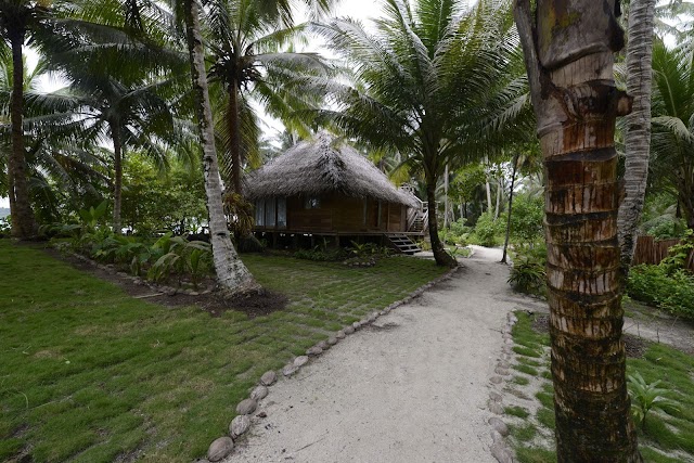 Alaia Mentawai