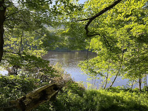 McDade Trail - Thumbnail