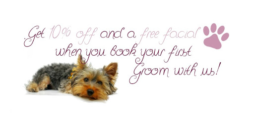 AV Purrfect Pets - Pet Salon & Spa