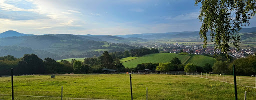 Aussichtsbank über der Kalten Haide - Thumbnail