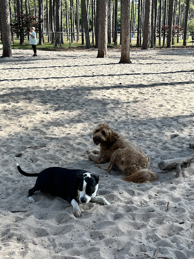 Long Leaf Dog Park - Thumbnail