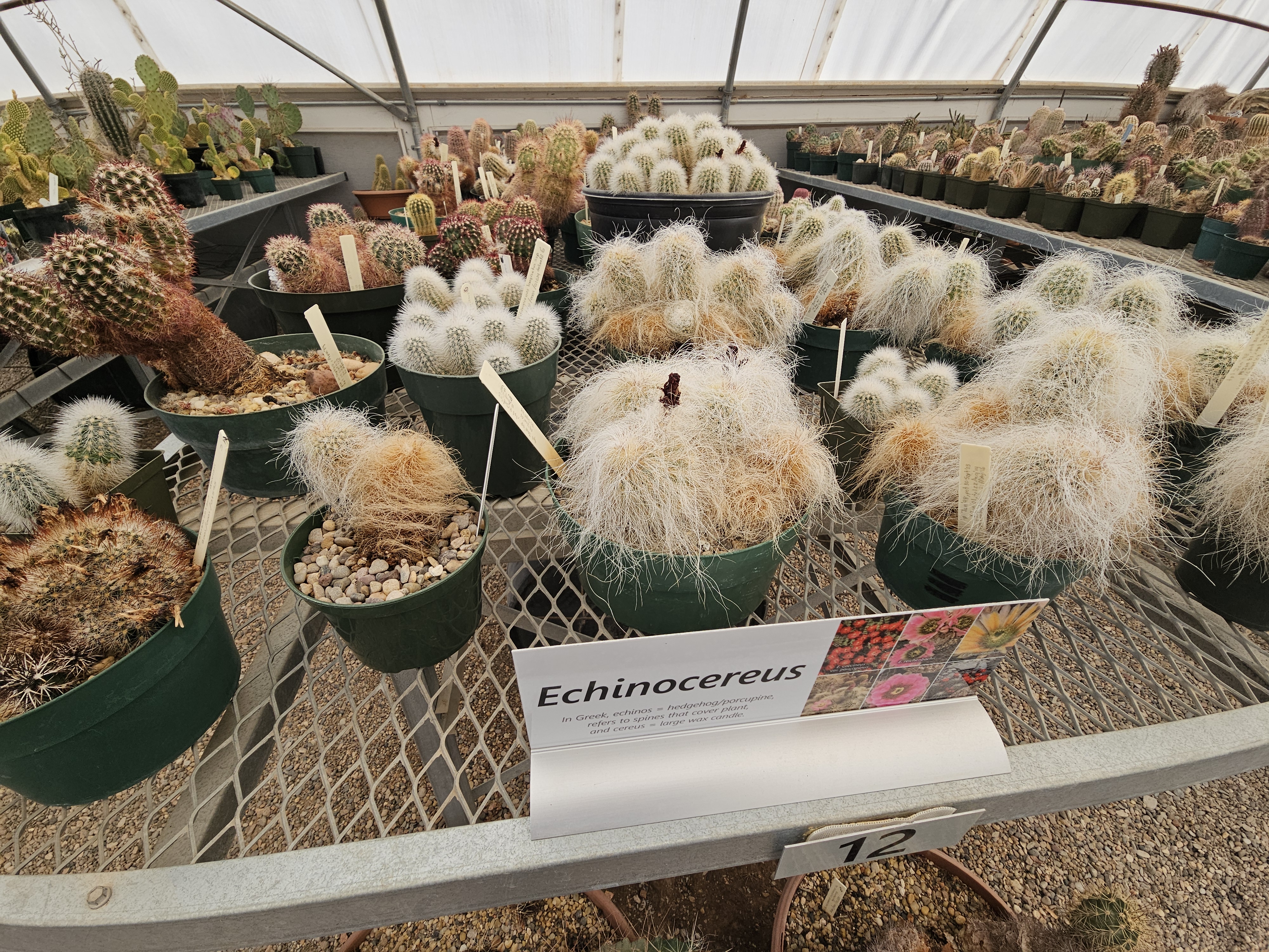 Chihuahuan Desert Research Institute