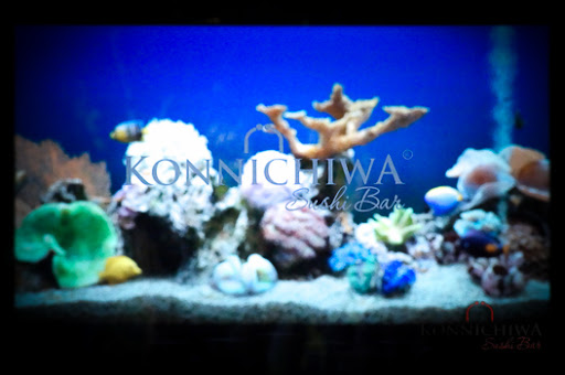 site_photo3