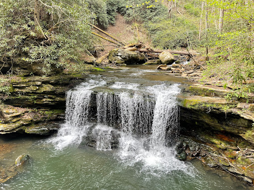 Finn's Falls