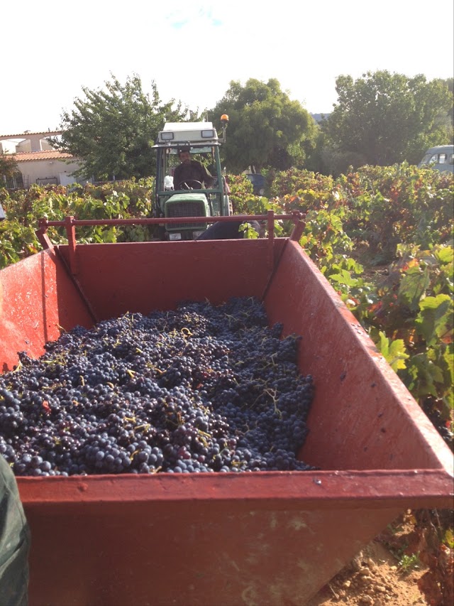 Domaine de Cagueloup