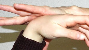 Photo n°4 de Laure Quéritet, cabinet de kinésiologie Le Chat mi-zen à Biscarrosse (Kinésiologue)