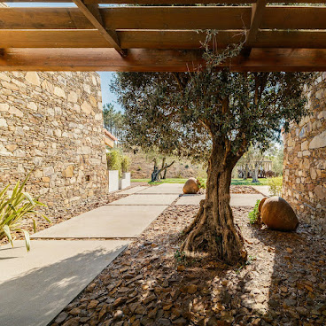 Teima, Alentejo SW by null