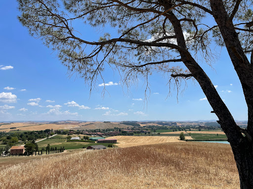 Croce al pino - Thumbnail
