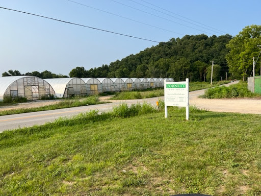 Alliance Packing KY, LLC - United States