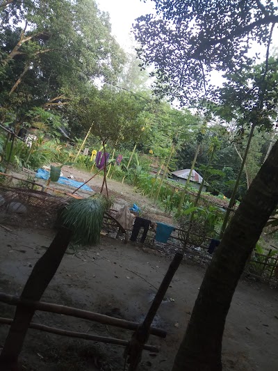 Photos of Salua Vita Hat Bus Stop