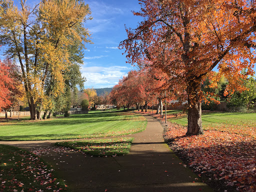 Thurston Park - Visual