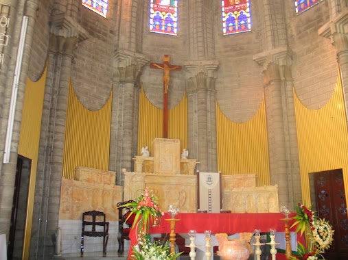 Nha Trang Cathedral, Author: Bảo Cung Đỗ