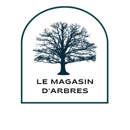 Le Magasin d'Arbres - Thumbnail