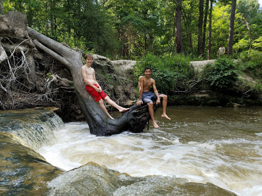Peason Ridge Wildlife Management Area - Thumbnail