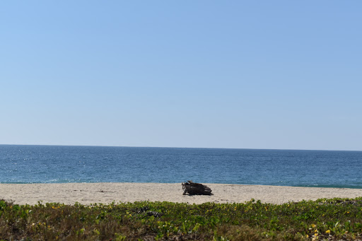 Reserva de Tortugas - Thumbnail