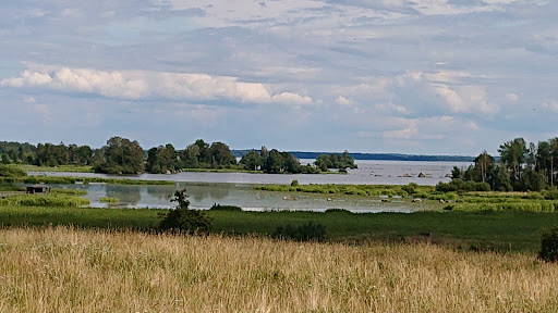 Rynningevikens Naturreservat, Myrö