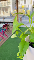 Photo n°21 de La Matería Bio Argentine à Espéraza (Cafétéria)