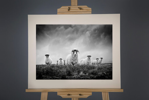 The Countryside Store - Thumbnail