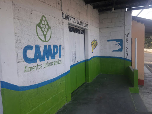 CAMPI NERIA - Thumbnail