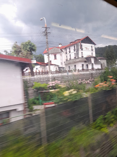 Af1qipn1kwfh1ogbdzsndbvmqvwlqlhv Wr6xpsgrxzz=s508 K No