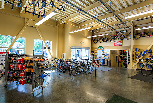 Gregg's Greenlake Cycle Gallery - United States