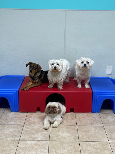 Kennedy Canine Center