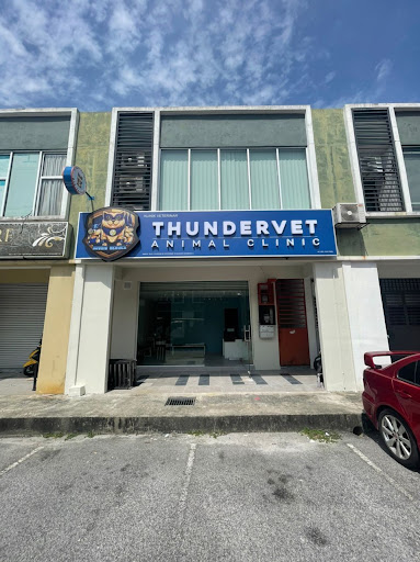Thundervet Animal Clinic