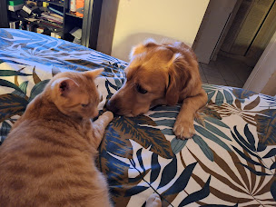 Photo n°15 de Mathilde Testart - Thérapeute - Castres à Castres (Psychologue)