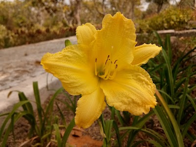Photos of Botanical Lombok