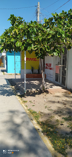 DHL IXTEPEC - Visual