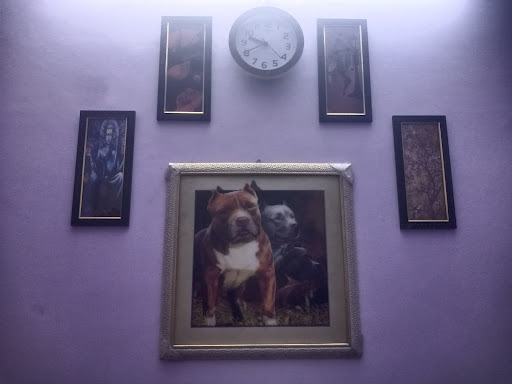 Installation your home painting hanging post image